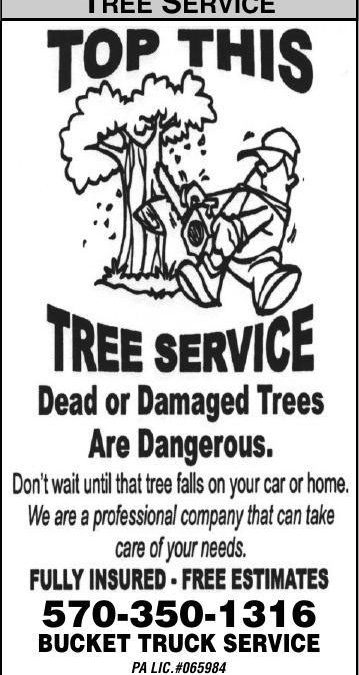 Top This Tree Service